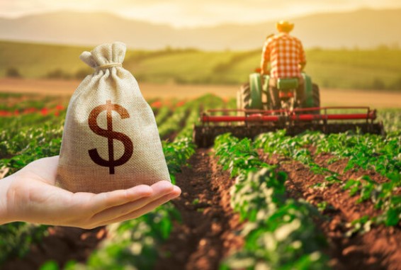 Agriculture